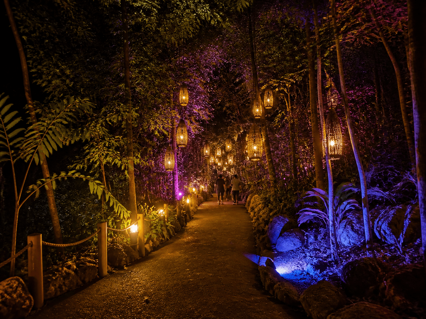 Illuminated tropical forest path at night
