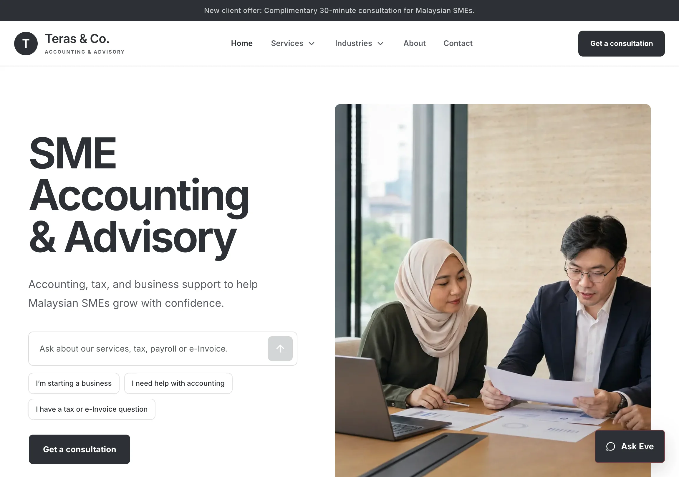 Teras & Co. website homepage showing its accounting and advisory hero section